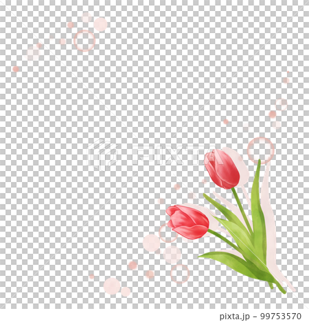 簡約可愛鬱金香相框(方形) 簡約可愛鬱金香相框(方形) 99753570