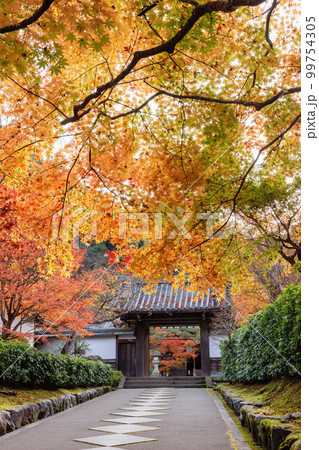 秋の駒ヶ瀧最勝院 99754305