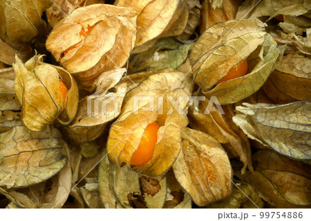 Stack of Physalis on a market stall Stack of Physalis on a market stall 99754886