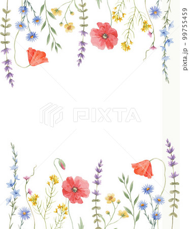 Beautiful floral frame with hand drawn watercolor wild herbs and flowers. Stock illustration. Beautiful floral frame with hand drawn watercolor wild herbs and flowers. Stock illustration. 99755459