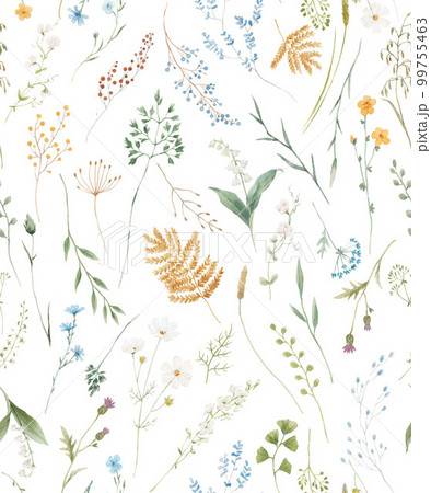 Beautiful floral seamless pattern with hand drawn watercolor wild herbs and flowers. Stock illustration. 99755463