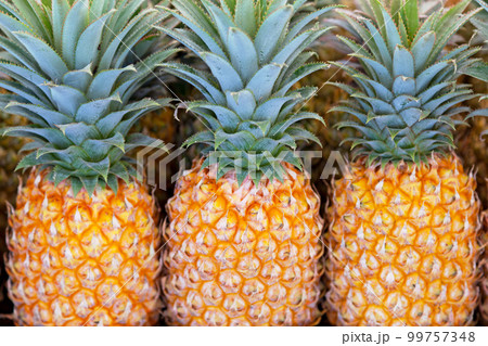 Row of pineapples on a market stall Row of pineapples on a market stall 99757348