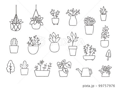 いろんな観葉植物の手描きイラストセット（モノクロ） 99757976