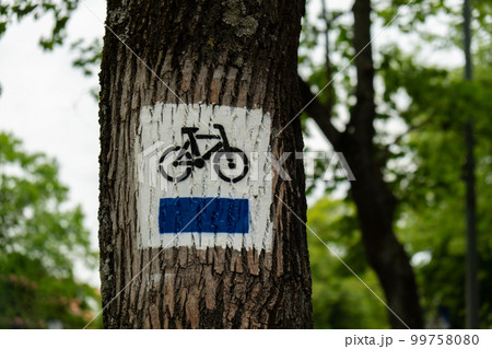 Bicycle route sign on tree in the forest. Blue path cycling road sign in the woods on trunk. The blue trail. Marking the tourist trail Bicycle route sign on tree in the forest. Blue path cycling road sign in the woods on trunk. The blue trail. Marking the tourist trail 99758080