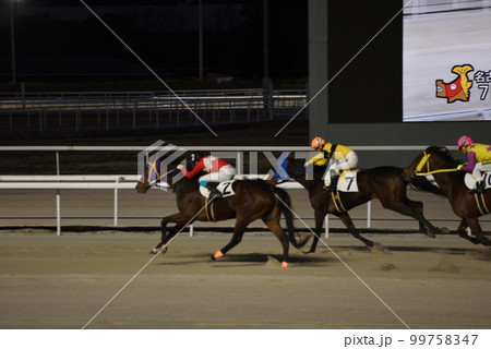 名古屋競馬場夜間レース 99758347