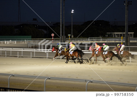 名古屋競馬場夜間レース 名古屋競馬場夜間レース 99758350