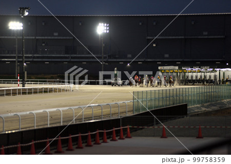 名古屋競馬場夜間レース 99758359