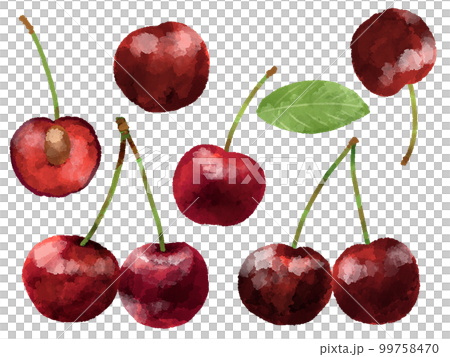 櫻桃插畫手繪水彩風格 99758470