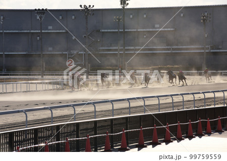 公営名古屋競馬場 公営名古屋競馬場 99759559