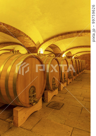 Wine cellar in Piedmont, Italy 99759626
