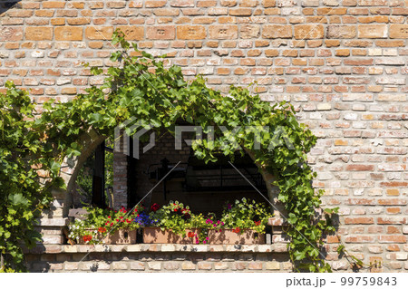 Old country farm, Moravska Nova Ves, Southern Moravia, Czech Republic 99759843