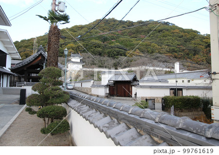 龍野のまちなみ 龍野城 隅櫓と龍野小学校水練場と家老門 兵庫県たつの市龍野町 龍野のまちなみ 龍野城 隅櫓と龍野小学校水練場と家老門 兵庫県たつの市龍野町 99761619