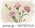Watercolor painting of carnations Mothers Day 99763310
