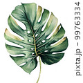 watercolor Plane minimalist subtle monstera leaf 99763334