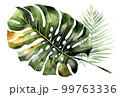 watercolor Plane minimalist subtle monstera leaf 99763336