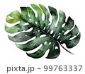watercolor Plane minimalist subtle monstera leaf 99763337