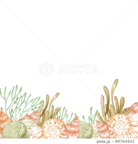 Hand drawn watercolor seashells and seaweed composition boarder. Isolated on white background. Scrapbook, post card, banner, lable. 99764932