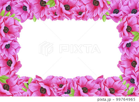 Hand drawn watercolor pink anemone flower frame with green leaves. Isolated on white background. Scrapbook, post card, banner, lable. Hand drawn watercolor pink anemone flower frame with green leaves. Isolated on white background. Scrapbook, post card, banner, lable. 99764965