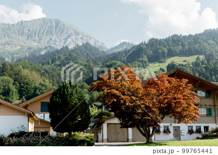 mountains green meadows switzerland reserve ecology nature mountains green meadows switzerland reserve ecology nature 99765441