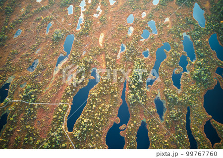 A drone photo of expansive summer swamps with winding streams, tall reeds and grasses, and green and brown wetlands. Capturing the nature scenery of this remote and unspoiled wilderness 99767760