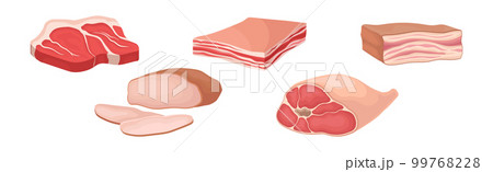 Different Meat Product with Beef, Lard and Chicken Cuts Vector Set 99768228