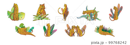 Orange Spotted Leopard Near Tropical Foliage Vector Set 99768242