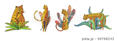 Orange Spotted Leopard Near Tropical Foliage Vector Set Orange Spotted Leopard Near Tropical Foliage Vector Set 99768243