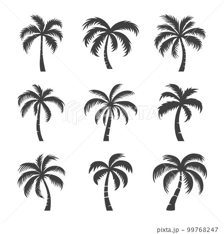 Vector Palm Trees, Palm Tree Icon Set Isolated. Palm Silhouettes. Design Template for Tropical, Vacation, Beach, Summer Concept. Vector Illustration. Front View Vector Palm Trees, Palm Tree Icon Set Isolated. Palm Silhouettes. Design Template for Tropical, Vacation, Beach, Summer Concept. Vector Illustration. Front View 99768247
