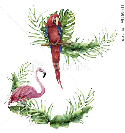 Watercolor summer tropical label. Hand painted floral card with tropical plant, flamingo and parrot. Illustration with palm tree leaves and exotic birds isolated on white background. For design 99769631