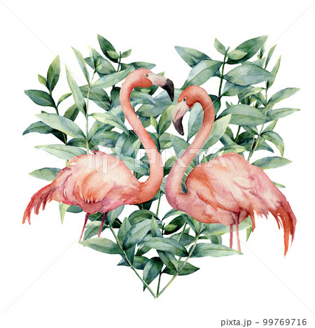 Watercolor heart with pink flamingo and eucalyptus leaves. Hand painted pink flamingo and leaves isolated on white background. Floral illustration for design, fabric, card. 99769716