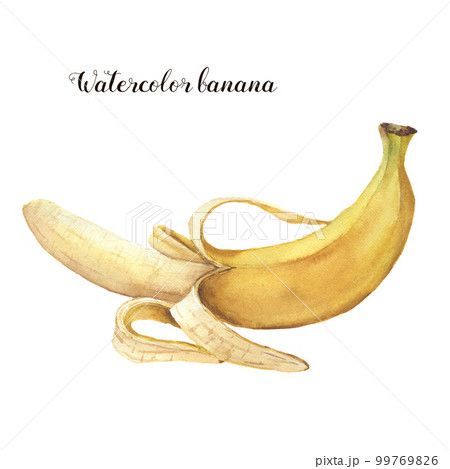Watercolor banana. Hand painted tropical fruit isolated on white background. Food botanical illustration for design or print. Watercolor banana. Hand painted tropical fruit isolated on white background. Food botanical illustration for design or print. 99769826
