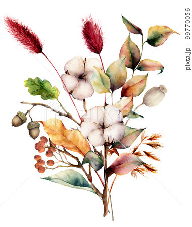 Watercolor autumn bouquet with plants, flowers and berries. Hand painted cotton flowers, lagurus, acorn, leaves and branches isolated on white background. Floral illustration for fall design, print. 99770056