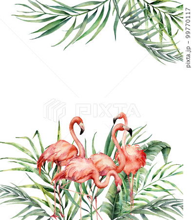 Watercolor tropical card with exotic palm leaves and flamingo. Hand painted floral illustration with banana and coconut branch, pink birds isolated on white background. For design, fabric or print. 99770117
