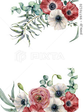 Watercolor anemone floral card. Hand painted red and white flowers, eucalyptus leaves isolated on white background. Illustration for design, fabric, print or background. Watercolor anemone floral card. Hand painted red and white flowers, eucalyptus leaves isolated on white background. Illustration for design, fabric, print or background. 99770120