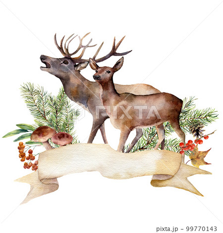 Watercolor autumn forest label. Hand painted ribbon with red deers, mushrooms, rowan, berries and pine branch isolated on white background. Botanical illustration for design. 99770143