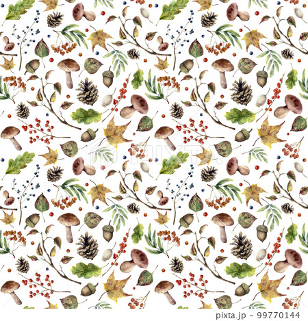 Watercolor autumn pattern. Hand painted mushroom, rowan, fall leaves, tree branch, pine cone, berry and acorn isolated on white background. Nature forest illustration for design. Watercolor autumn pattern. Hand painted mushroom, rowan, fall leaves, tree branch, pine cone, berry and acorn isolated on white background. Nature forest illustration for design. 99770144