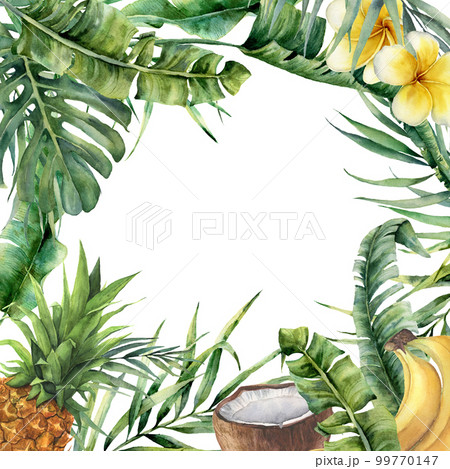 Watercolor tropical frame with exotic leaves, fruit and flowers. Hand painted floral illustration with banana and coconut palm branches, plumeria, pineapple isolated on white background for design 99770147