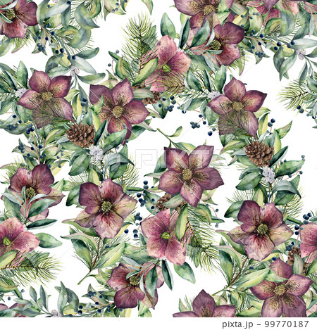 Watercolor seamless pattern with hellebore flowers. Hand painted snowberry, fir branch and leaves, berry isolated on white background. Winter floral ornament for design and fabris. Holiday print. 99770187