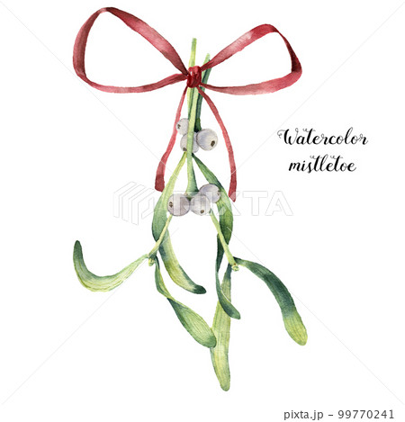 Watercolor mistletoe bouquet with red bow. Hand painted mistletoe branch with white berry isolated on white background. Christmas botanical clip art for design or print. Holiday illustration. 99770241