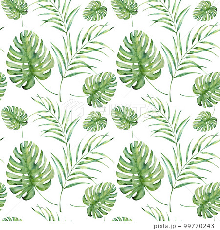 Watercolor tropical pattern with monstera and palm leaves. Hand painted floral ornament with exotic plant branch isolated on white background. For design, fabric or background. Watercolor tropical pattern with monstera and palm leaves. Hand painted floral ornament with exotic plant branch isolated on white background. For design, fabric or background. 99770243