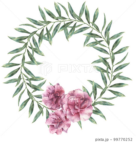 Watercolor floral wreath. Hand painted border with oleander flowers with leaves and branch isolated on white background. Botanical illustration for design, print, fabric. 99770252