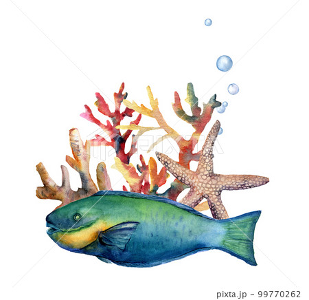 Watercolor nautical border with parrotfish. Hand painted underwater illustration with parrotfish, starfish, coral reef and air bubbles isolated on white background. Nautical illustration for design. 99770262