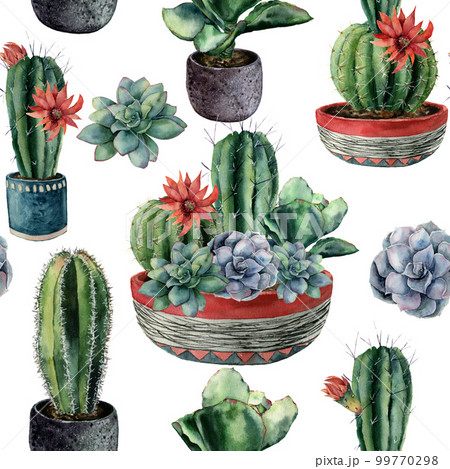 Watercolor cactus seamless pattern. Hand painted cereus, echeveria, echinocactus grusonii with green and blue succulent isolated on white background. Illustration for design, fabric or background. 99770298