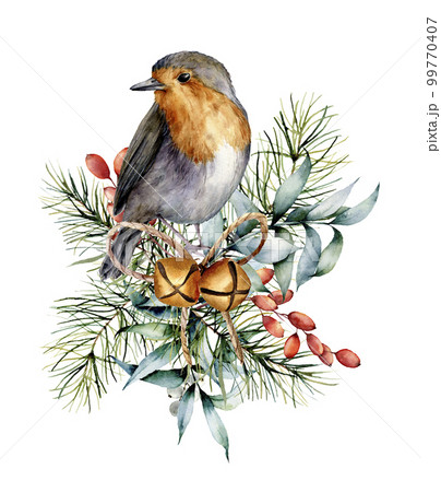 Watercolor Christmas card with robin, bells and winter design. Hand painted bird with eucalyptus leaves, golden bells, fir branch and barberry isolated on white background. Holiday symbol for design. Watercolor Christmas card with robin, bells and winter design. Hand painted bird with eucalyptus leaves, golden bells, fir branch and barberry isolated on white background. Holiday symbol for design. 99770407