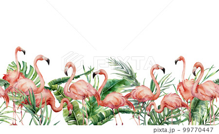 Watercolor tropical seamless border with flamingo and exotic leaves. Hand painted floral illustration with pink birds, banana, coconut and monstera branch isolated on white background for design. Watercolor tropical seamless border with flamingo and exotic leaves. Hand painted floral illustration with pink birds, banana, coconut and monstera branch isolated on white background for design. 99770447