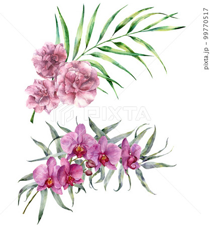 Watercolor tropical bouquet. Hand painted floral branch with eucalyptus and palm leaves, orchids and oleander flowers isolated on white background. Botanical exotic illustration for design, print. Watercolor tropical bouquet. Hand painted floral branch with eucalyptus and palm leaves, orchids and oleander flowers isolated on white background. Botanical exotic illustration for design, print. 99770517