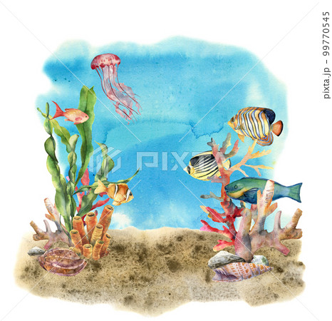 Watercolor coral reef border and propical fish. Hand painted underwater illustration with laminaria branch, fish and shell isolated on ocean background. Nautical illustration for design or print. 99770545