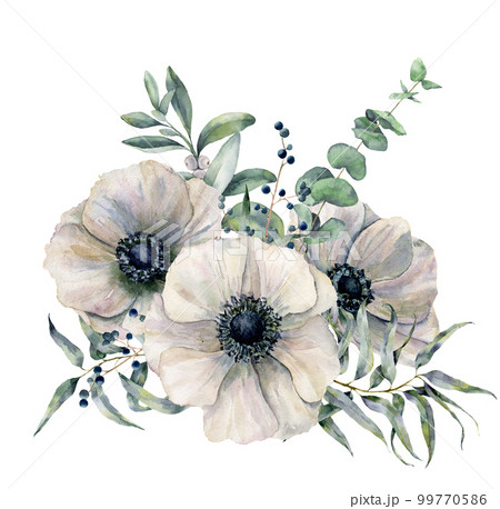 Watercolor white anemone bouquet. Hand painted flower, eucalyptus leaves and juniper isolated on white background. Illustration for design, fabric, print or background. 99770586