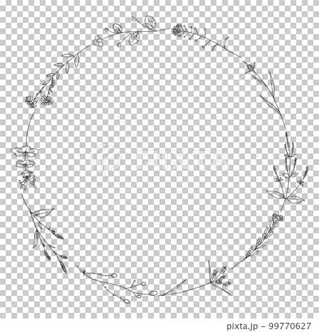 雑草線画円フレーム 雑草線画円フレーム 99770627