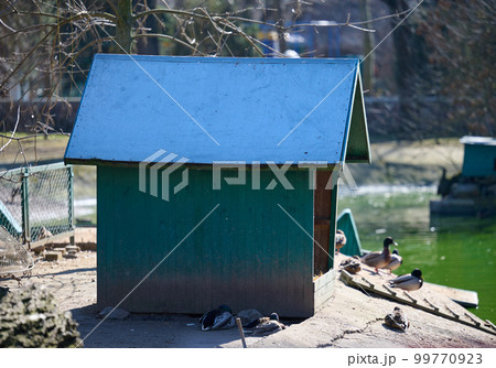 Wooden duck and goose house on the lake, spring day. Wooden duck and goose house on the lake, spring day. 99770923